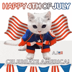 Funny Happy 4Th Of July Celebrate America GIF