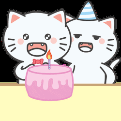 happy birthday funny cat cake