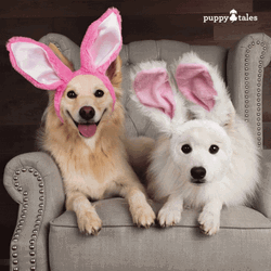 Funny Happy Easter GIF