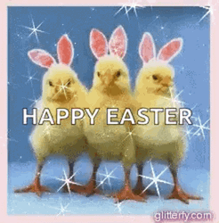 Funny Happy Easter GIF