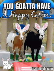 Funny Happy Easter GIF
