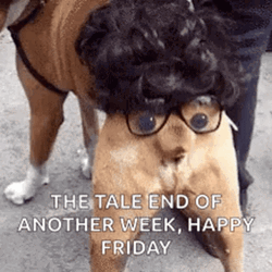 Funny Happy Friday Dog Tail GIF