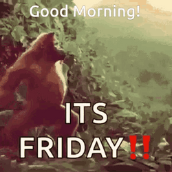 Funny Happy Friday Gorilla Dance GIF