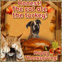 Funny Happy Thanksgiving Cat Eat The Turkey GIF