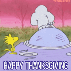 Funny Happy Thanksgiving Snoopy And Woodstock GIF