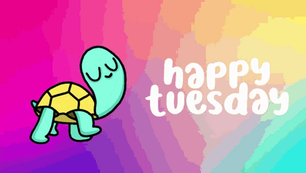 Funny Happy Tuesday Cute Turtle Strolling GIF