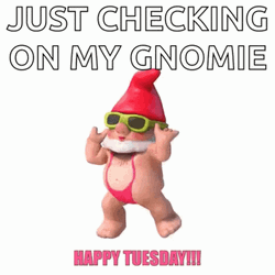 Funny Happy Tuesday Dancing Gnome GIF