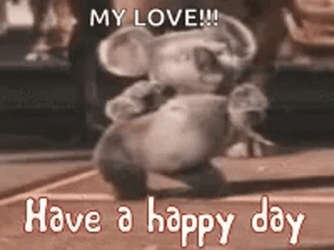 Funny Happy Wednesday Dancing Koala GIF