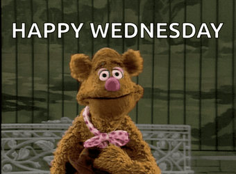 Funny Happy Wednesday Fozzie Bear The Muppets GIF