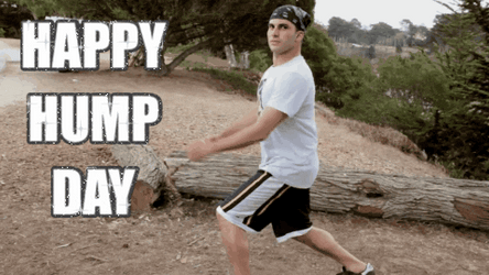 Funny Happy Wednesday Showing Off Dance Moves GIF