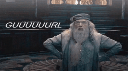 Funny Harry Potter And Girl Gandalf GIF