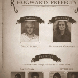 Funny Harry Potter And Hogwarts Perfects GIF