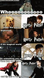Funny Harry Potter Compilation GIF