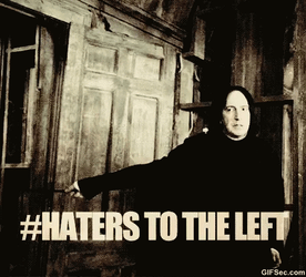 Funny Harry Potter Haters To The Left GIF