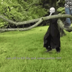 Funny Harry Potter Is Off To Kill Voldemort GIF