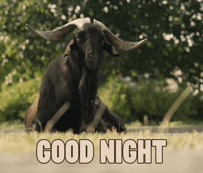 Funny Harvey Goat Goodnight Sleep GIF