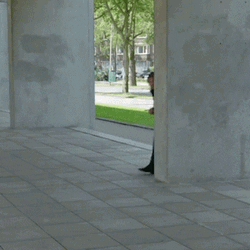 Funny Hello Stefano Keizers Hiding GIF