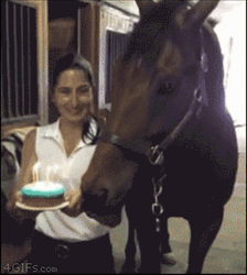 Funny Horse Blowing Candles GIF