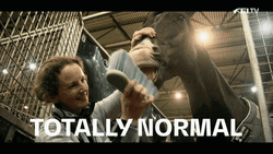Funny Horse Brushing Teeth GIF