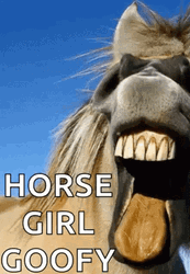 Funny Horse Goofy Face GIF