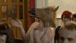 Funny Horse Headdress Costume Amazing Reaction GIF