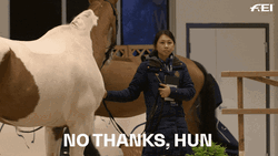 Funny Horse No Thanks  GIF