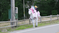 Funny Horse Pony Mascot GIF