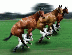 Funny Horse Race Parallel Universe GIF
