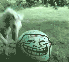 Funny Horse Tackle Lol GIF