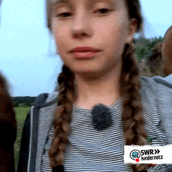 Funny Horse Tongue Lick GIF