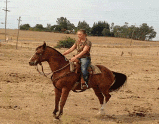 Funny Horseback Riding Falling Fail GIF
