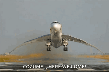 Funny How Plane Wiggles In Runway GIF