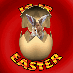 Funny Is It Easter Hiding Bunny GIF