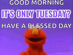 Funny It's Only Tuesday Elmo Sesame Street GIF