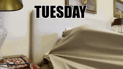 Funny It's Only Tuesday Getting Ready To Bed GIF