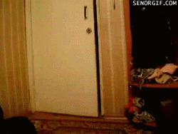 Funny Kid Tripped At Home Front Door GIF