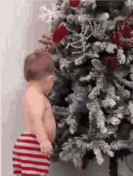 Funny Kid With Christmas Tree