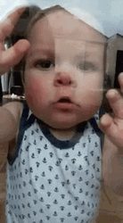 Funny Little Boy Window Licker GIF