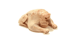 Funny Marinated Turkey Meme GIF
