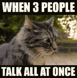 Funny Memes Cat Confused GIF