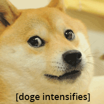 Funny Memes Dog Intensifies GIF