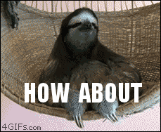 Funny Memes Sloth No GIF