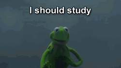 Funny Memes Study Life Kermit Frog GIF
