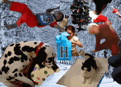 Funny Merry Christmas Cat Chaos  GIF