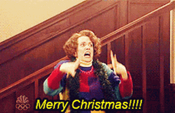 Funny Merry Christmas Panicking Kristen Wiig GIF