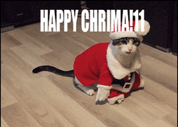 Funny Merry Christmas Santa Cat Passing Out GIF