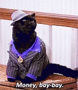 Funny Money Cat In Suit GIF