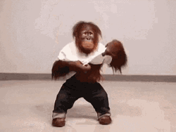 Funny Monkey Shirt Off GIF