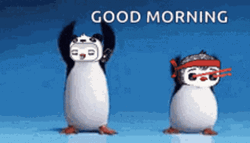 Funny Morning Dancing Penguins GIF