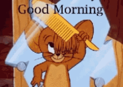Funny Morning Jerry Fixing Hair GIF